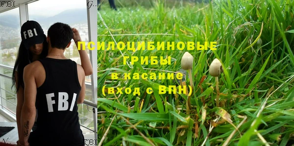 ешки Медногорск