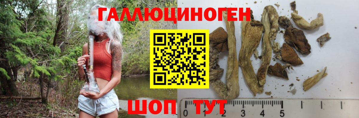 Псилоцибиновые грибы мухоморы Тайшет