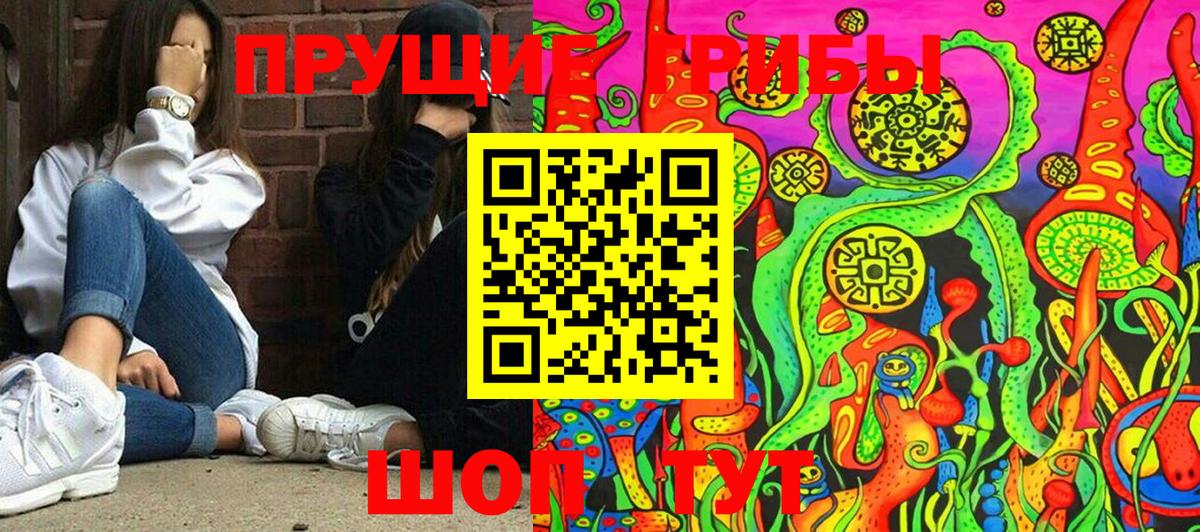 Псилоцибиновые грибы прущие грибы  Вход с VPN  Тайшет 
